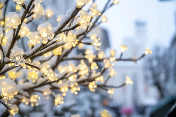 Primer Plano Árbol Con Luces Navidad Calle Cubierta Nieve — Foto de Stock