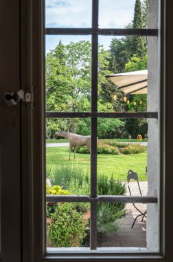 Moruzzo, İtalya 'da güzel bir villanın iç çekimleri.