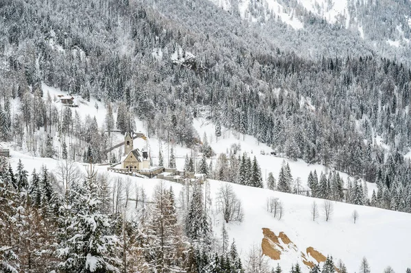 Живописный Снимок Красивого Снежного Покрова Саурис Провинция Удине Италия — стоковое фото