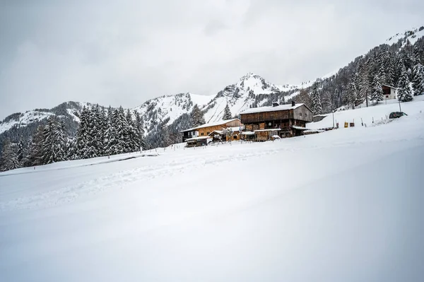 Pintoresca Toma Hermosas Chozas Madera Cubiertas Nieve Sauris Provincia Udine — Foto de Stock