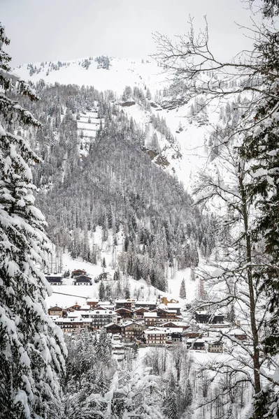 意大利乌迪恩省索利斯被美丽的雪覆盖的风景照片 — 图库照片