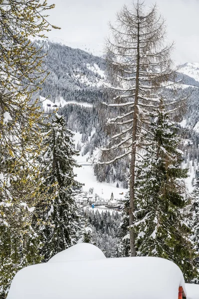 Szenische Aufnahme Des Schneebedeckten Sauris Provinz Udine Italien — Stockfoto