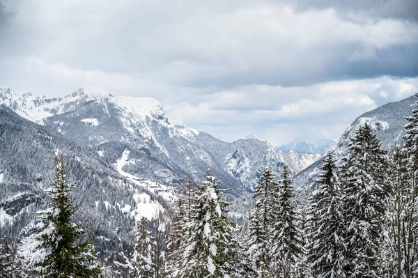 Talya Nın Udine Eyaleti Sauris Şehrinde Karla Kaplanmış Güzel Bir — Stok fotoğraf