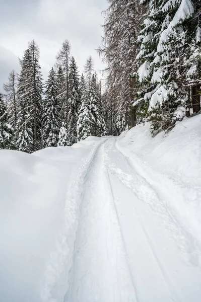 Talya Nın Udine Eyaleti Sauris Şehrinde Karla Kaplanmış Güzel Bir — Stok fotoğraf