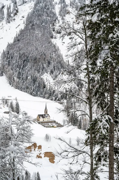Natursköna Bilder Vackra Snötäckta Sauris Provinsen Udine Italien — Stockfoto