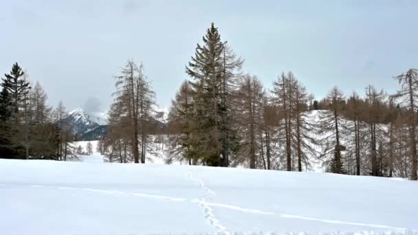 Wycieczka Śnieżna Zapierające Dech Piersiach Widoki Val Badia Otoczeniu Dolomitów — Wideo stockowe