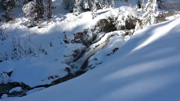 Magia Śniegu Jeziorach Fusine Lesie Tarvisio — Wideo stockowe