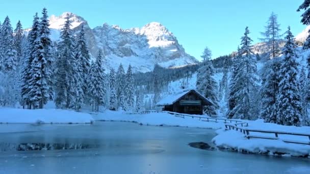 Snow Magic Fusine Lakes Forest Tarvisio — Stock video