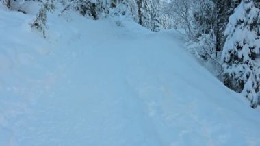 Fusine göllerinde ve Tarvisio ormanlarında kar büyüsü