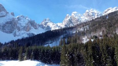 Tarvisio bölgesindeki Riofreddo Vadisi 'nin büyüsü. Kışın vahşi doğa