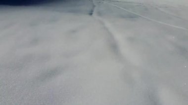 Tarvisio bölgesindeki Riofreddo Vadisi 'nin büyüsü. Kışın vahşi doğa
