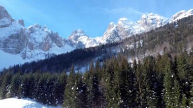 Tarvisio bölgesindeki Riofreddo Vadisi 'nin büyüsü. Kışın vahşi doğa