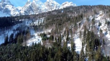 Tarvisio bölgesindeki Riofreddo Vadisi 'nin büyüsü. Kışın vahşi doğa