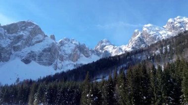 Tarvisio bölgesindeki Riofreddo Vadisi 'nin büyüsü. Kışın vahşi doğa