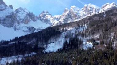 Tarvisio bölgesindeki Riofreddo Vadisi 'nin büyüsü. Kışın vahşi doğa
