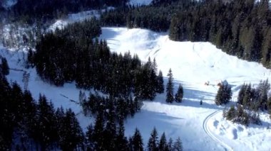 Tarvisio bölgesindeki Riofreddo Vadisi 'nin büyüsü. Kışın vahşi doğa