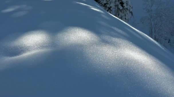 Sappada的风景雪景 意大利白云石 — 图库视频影像