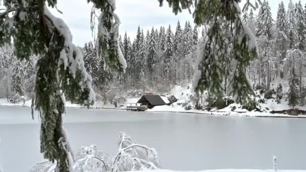 Sneeuwmagie Fusine Meren Het Bos Van Tarvisio — Stockvideo
