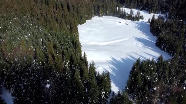 Magie Údolí Riofreddo Oblasti Tarvisio Divoká Příroda Zimě — Stock video