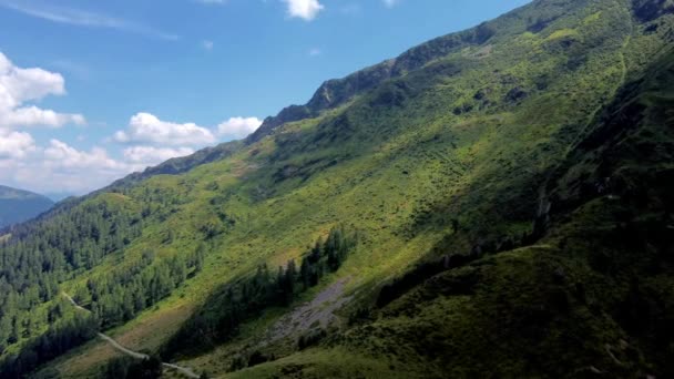 Carnia Monte Croce Pass Och Monte Coglians Naturen Friuli — Stockvideo