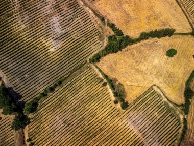 Montepulciano 'nun güzel manzarası, Tuscany, İtalya' daki tepe şehri.