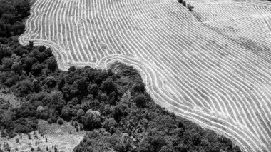 Montepulciano 'nun güzel manzarası, Tuscany, İtalya' daki tepe şehri.