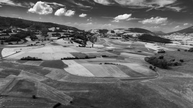 Colfiorito. Çiçekler ve Umbria 'nın doğası