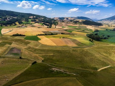 Colfiorito. Çiçekler ve Umbria 'nın doğası