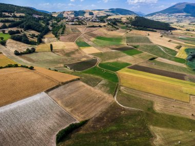 Colfiorito. Çiçekler ve Umbria 'nın doğası