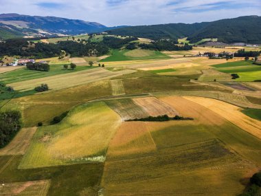 Colfiorito. Çiçekler ve Umbria 'nın doğası