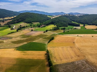 Colfiorito. Çiçekler ve Umbria 'nın doğası
