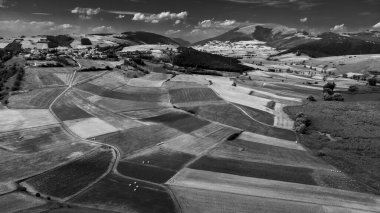 Colfiorito. Çiçekler ve Umbria 'nın doğası