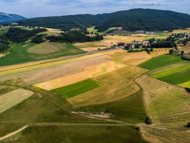 Colfiorito. Çiçekler ve Umbria 'nın doğası