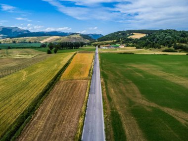 Colfiorito. Çiçekler ve Umbria 'nın doğası
