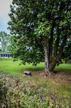 MORUZZO, İtalya - 17 Mayıs 2015: Friuli bölgesinin kalbinde yer alan Villa Savorgnan di Brazza 'nın cephesi.