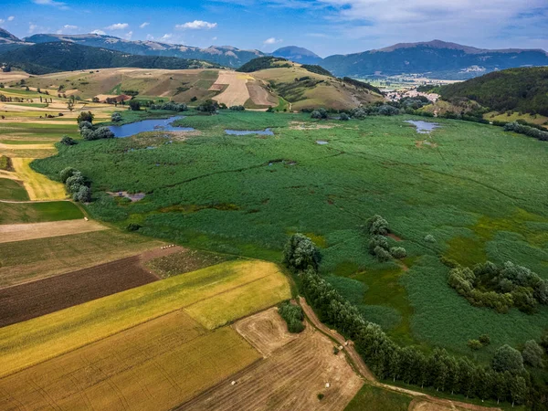 Colfiorito. Çiçekler ve Umbria 'nın doğası
