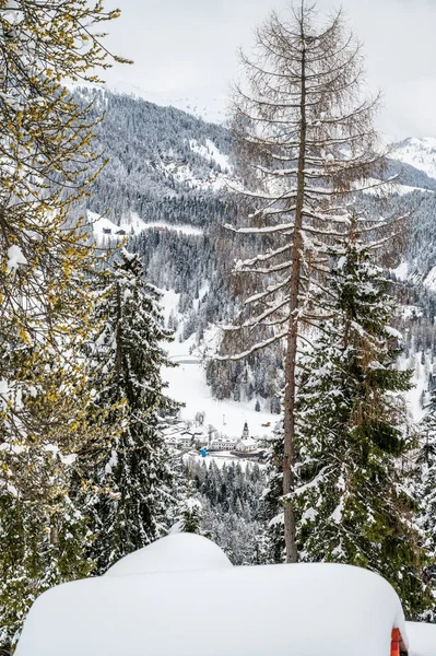 Winter Sauris Sotto Zauber Von Schnee Und Alten Holzhäusern Italien — Stockfoto