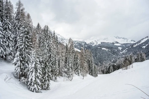Зима Sauris Sotto Магия Снега Италии — стоковое фото