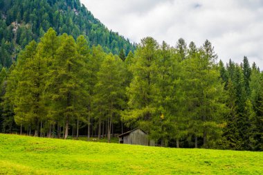 Val Fiscalina. Sesto Dolomitlerinin Çerçevesi.