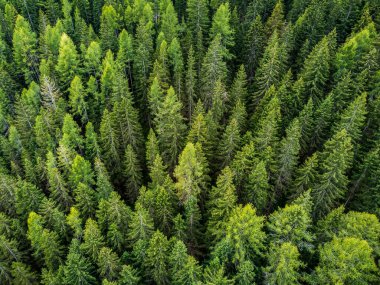 Val Fiscalina 'nın yaz renkleri yukarıdan