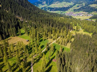 Braies Gölü ve vadisinde sonbahar renkleri ve yansımaları.
