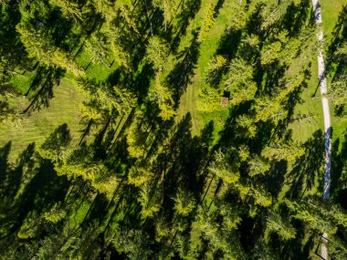 Braies Gölü ve vadisinde sonbahar renkleri ve yansımaları.