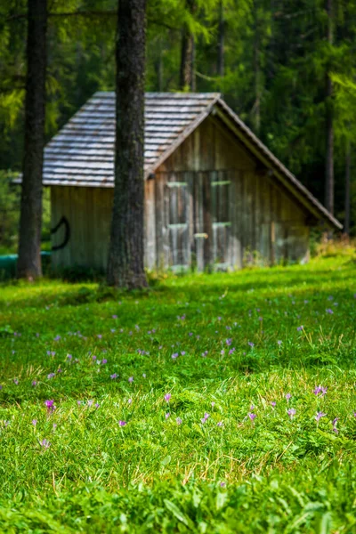 Вал Фіскаліна Форма Sesto Dolomites — стокове фото