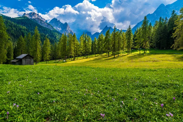 Val Fiscalina Frame Sesto Dolomites — Stock fotografie