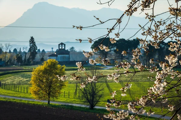 Schilderachtig Uitzicht Prachtig Middeleeuws Kasteel Italië — Stockfoto