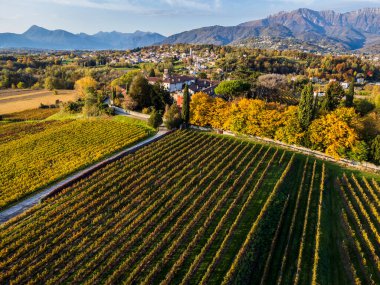 Villafredda 'nın antik köyünün manzaralı görüntüleri. Friuli.