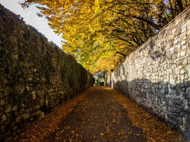 Villafredda 'nın antik köyünün manzaralı görüntüleri. Friuli.
