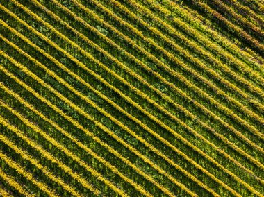 Villafredda 'nın antik köyünün manzaralı görüntüleri. Friuli.