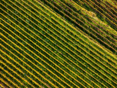 Villafredda 'nın antik köyünün manzaralı görüntüleri. Friuli.