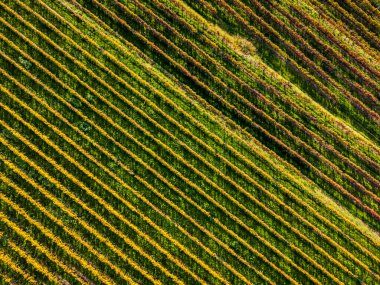 Villafredda 'nın antik köyünün manzaralı görüntüleri. Friuli.